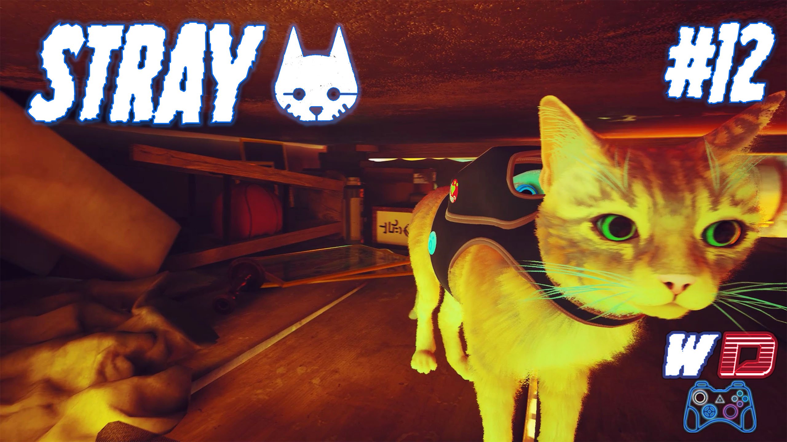 Stray. Прохождение #12. План проникновения