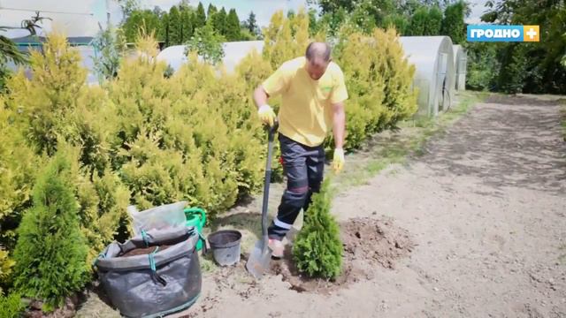 Удачная дача / Выпуск 3 / Ремонтное перевоплощение