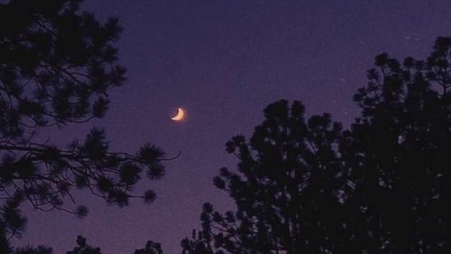 Limbo  - Airplane Mode 1 Hour