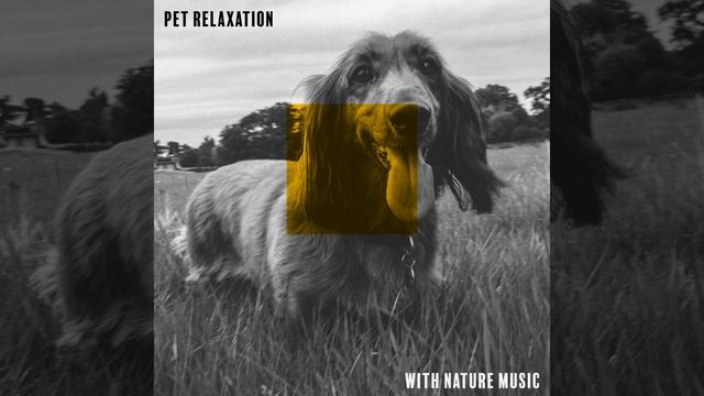 Hamster Lullabies смотреть онлайн