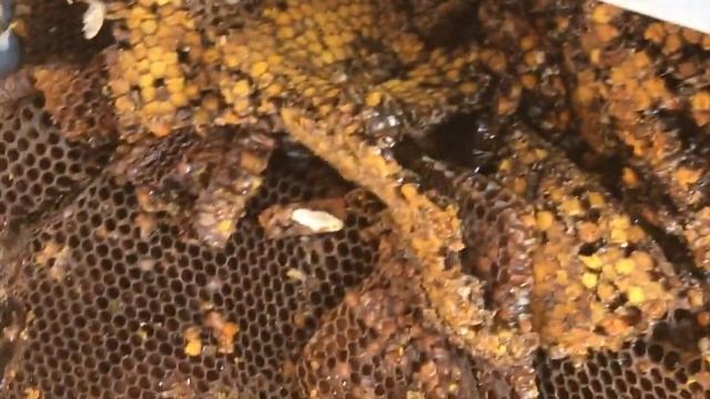 Строительные Перемены