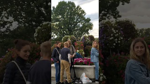 Скрипка на Дороге к храму