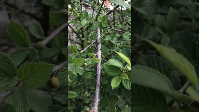 Строительный Марафон