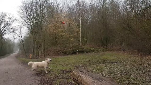 Essaie du drone MJX BUGS 6 смотреть онлайн