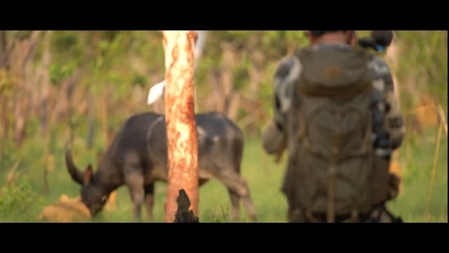 Arnhem Land | Part 1 | Dangerous game bowhunting film [Bowhunt Downunder] смотреть онлайн