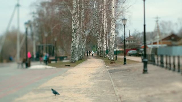 TTArtisan 50mm f 1 4 Tilt смотреть онлайн