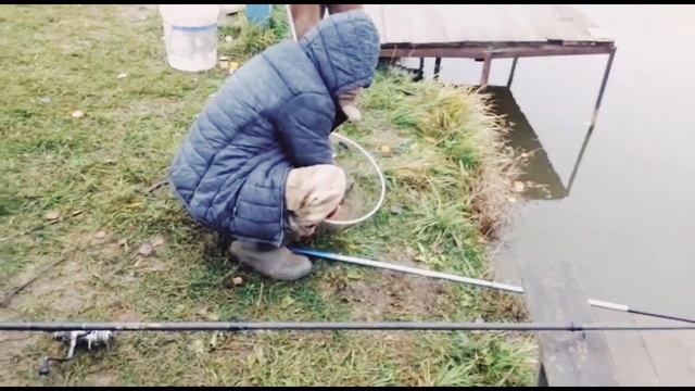 Светлые Горы Щука 18.10.2022г. смотреть онлайн