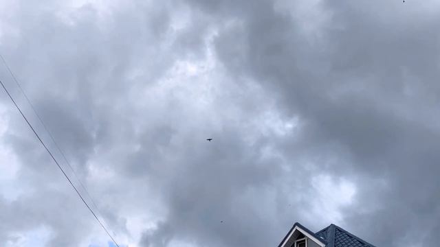 Дубль два. Голуби в небе. смотреть онлайн