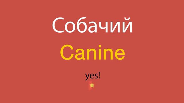 Собачий по-английски смотреть онлайн