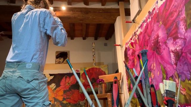 Rhode Trip смотреть онлайн