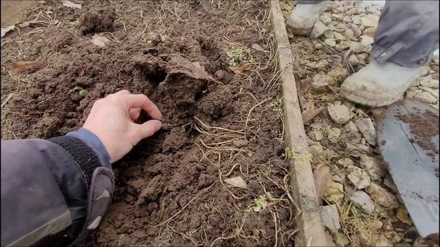 Приехали с дочкой на дачу .Открытие сезона .#моехобби #огород#софийка-малинка смотреть онлайн