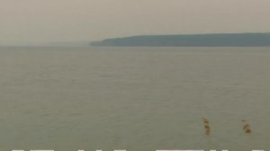 Конный мир.КУРСКИЙ КОННЫЙ ЗАВОД