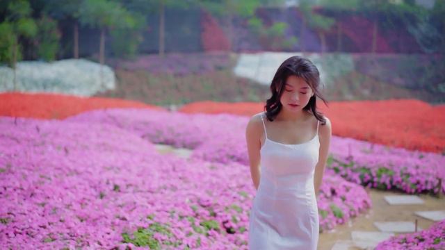 Can't Help Falling In Love Saxophone Mp3 Download 🎷Swing saxophone music 569 смотреть онлайн