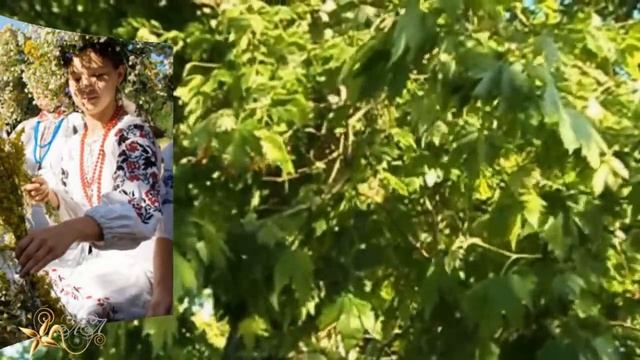 ❀ #СвятаяТроица С праздником Святой троицы Красивое поздравление❀ смотреть онлайн