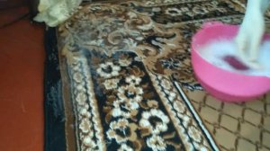 Vanish для ковров. ПРОВЕРКА РЕКЛАМЫ!