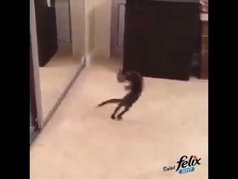 Слышь, ты чё ! Выходи, драться будем !!! смотреть онлайн