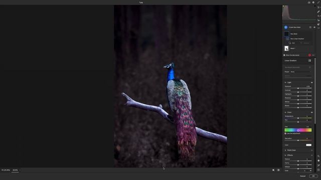 How to Edit Wildlife Colour Preset | Free Tutorial | Photoshop смотреть онлайн