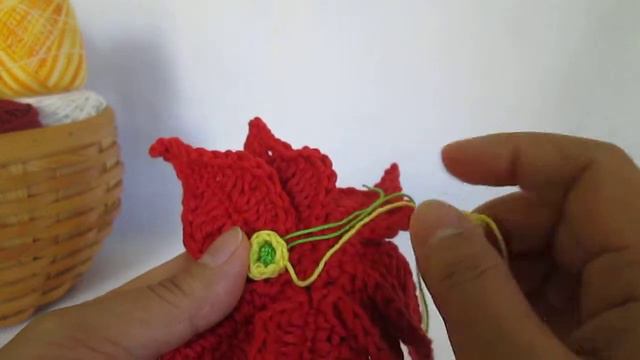 Poinsettia flower bud смотреть онлайн