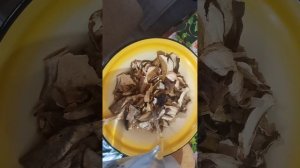 ГОТОВЛЮ БЕЛЫЕ СУШЕНЫЕ ГРИБЫ
