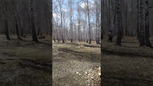 IRBIS TTR 110 смотреть онлайн