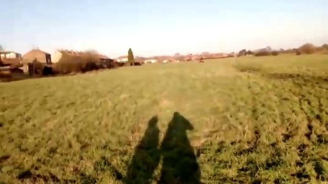 quad adly 150 смотреть онлайн