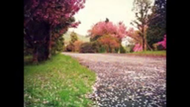 Ernesto Cortazar - Beethoven's Silence смотреть онлайн