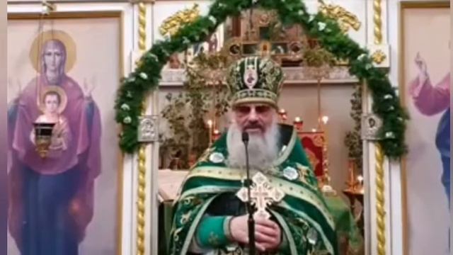 Слово после литургии в День Святого Духа смотреть онлайн
