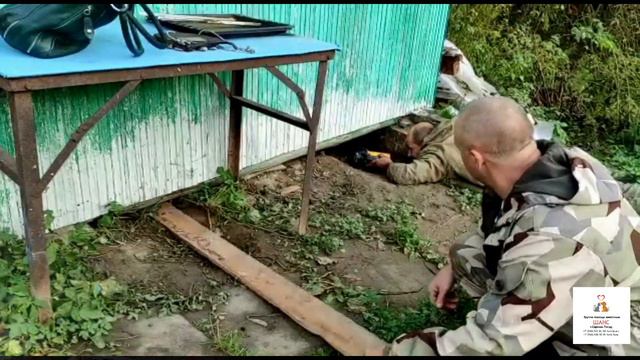 Щенки с мамой из снт Хотьково | Шанс группа помощи животным смотреть онлайн