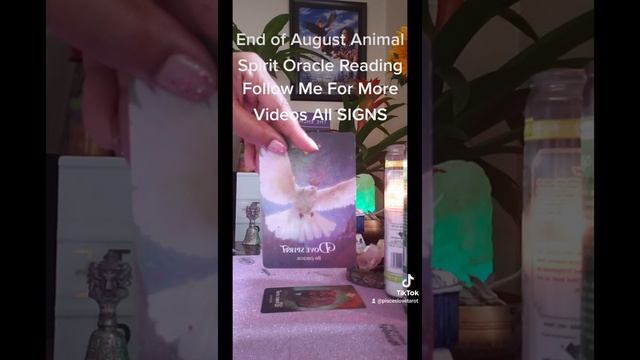 You Are Blessed??#Animal #Spirit #Oracle #Reading||End of August #PISCES #Collective смотреть онлайн