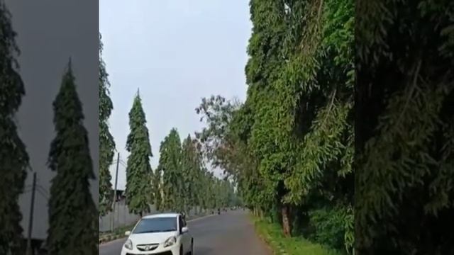 Honda steed 400 trial and error #hondasteed #custombike #hondasteed #mogeindonesia #moge смотреть онлайн