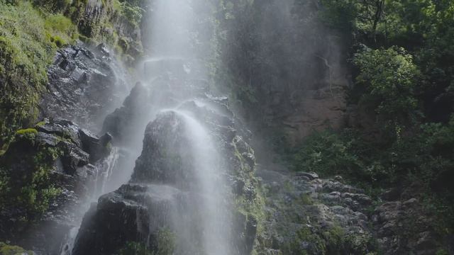 waterfall in forest 4k смотреть онлайн