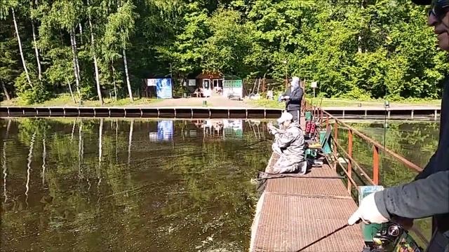 Жёлто-оранжевый цвет или оранжевый, либо белый и т.д. -подбор приманки и будет результат. Спорт зон смотреть онлайн