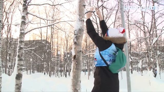 Экологическая акция «Покормите птиц» смотреть онлайн