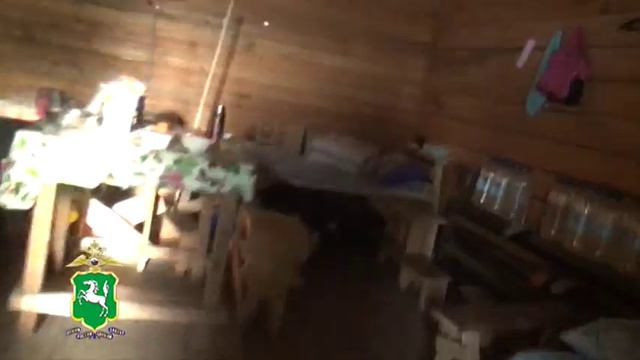 Контрольно-проверочные меропрития УВМ УМВД России по Томской области смотреть онлайн