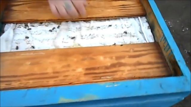 Зимовка в плюсовую температуру смотреть онлайн