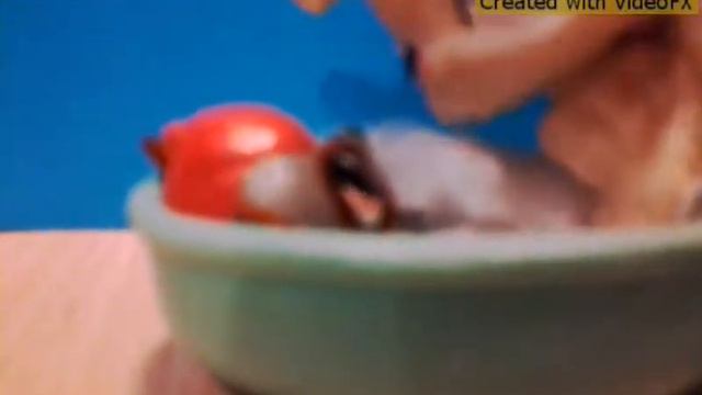 Лпс: клип Ярмака детская обида смотреть онлайн