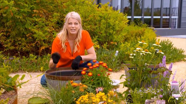 Neutrog TV | Should I give Australian native plants fertiliser? + Mixing natives with exotic plants смотреть онлайн