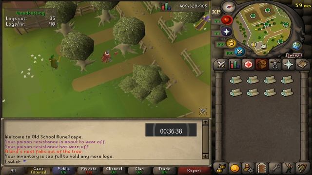 Cutting Magic Logs | Testing OSRS Wiki Money Making Methods смотреть онлайн