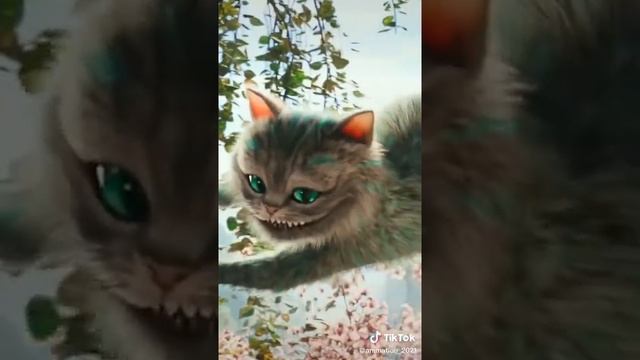 Чеширский кот смотреть онлайн