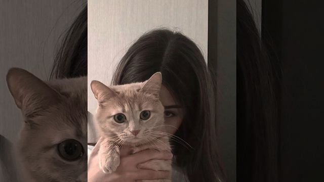 Этой ночью смотреть онлайн