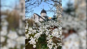 Канон за болящих. Читает иерей Владислав Мишин