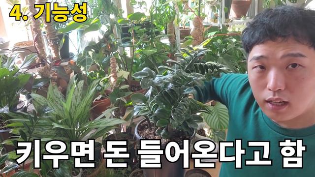 식물 현타