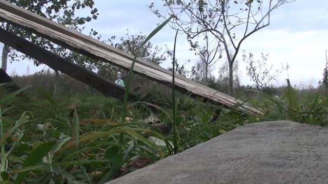 Штукатурка брёвен