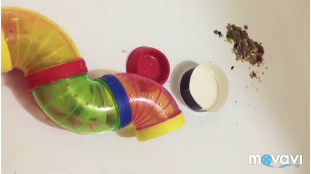 🐹 МОЙ ХОМЯК ТЕПЕРЬ ЖИВЕТ ВАННОЙ 🛀 🙉🙈 / ПП-Идеи смотреть онлайн