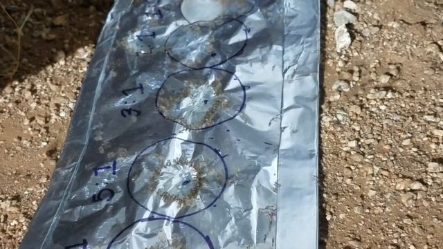 How much Borax should you use in your ant bait formula? смотреть онлайн