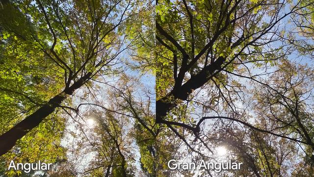 IPhone 11 vs iPhone XR, ¿MERECE la PENA el CAMBIO? смотреть онлайн