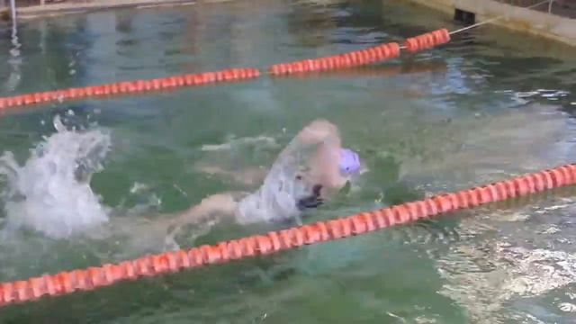 Плавание - это в первую очередь вода. А вода - это жизнь!