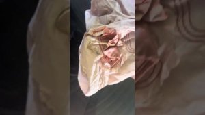 Как снять подушку руля airbag Audi A4 A5 B9