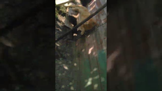 Цитата сообщения участника и там такое что делаешь смотреть онлайн