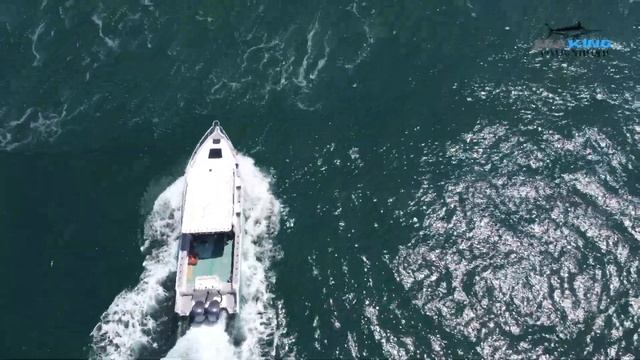 SEAKING 960 Master Profisher Walkthrough - DREAM 10m FISHING BOAT смотреть онлайн